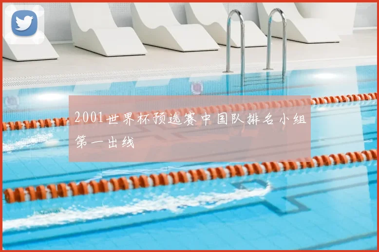 2001世界杯预选赛中国队排名小组第一出线