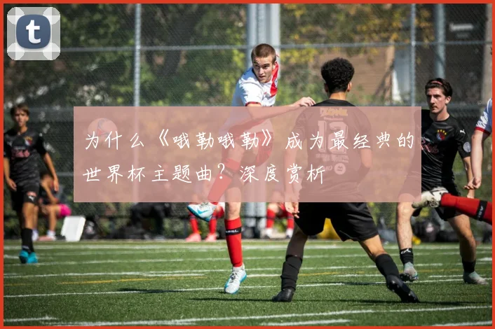 为什么《哦勒哦勒》成为最经典的世界杯主题曲？深度赏析