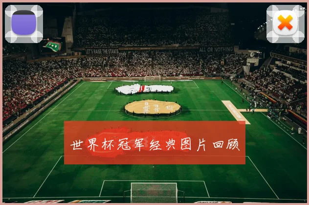 世界杯冠军经典图片回顾