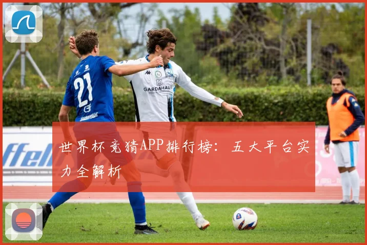 世界杯竞猜APP排行榜：五大平台实力全解析