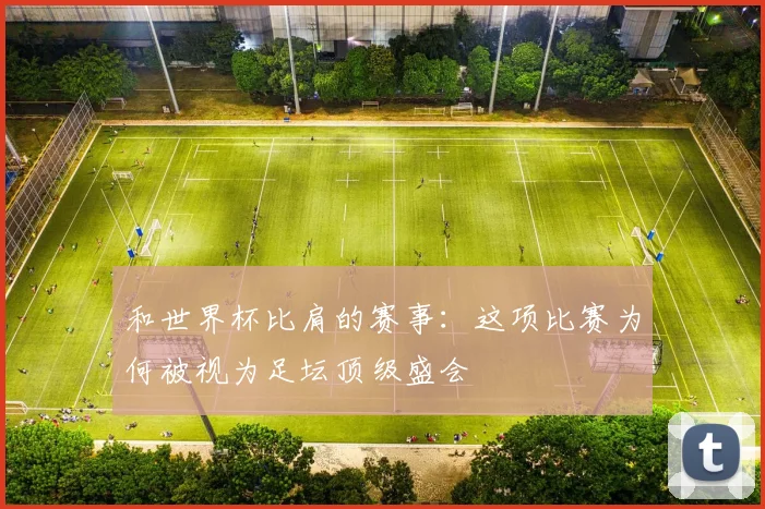 和世界杯比肩的赛事：这项比赛为何被视为足坛顶级盛会
