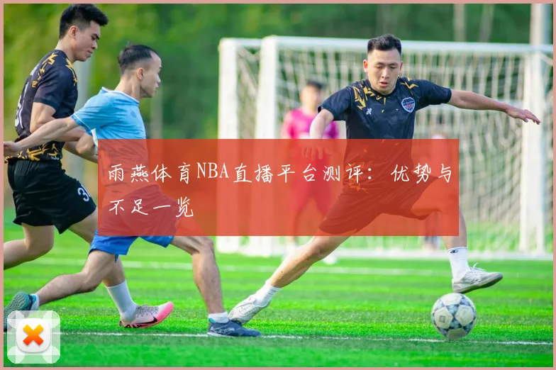 雨燕体育NBA直播平台测评：优势与不足一览