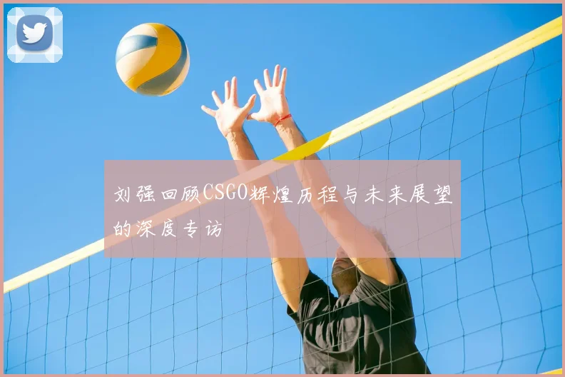 刘强回顾CSGO辉煌历程与未来展望的深度专访