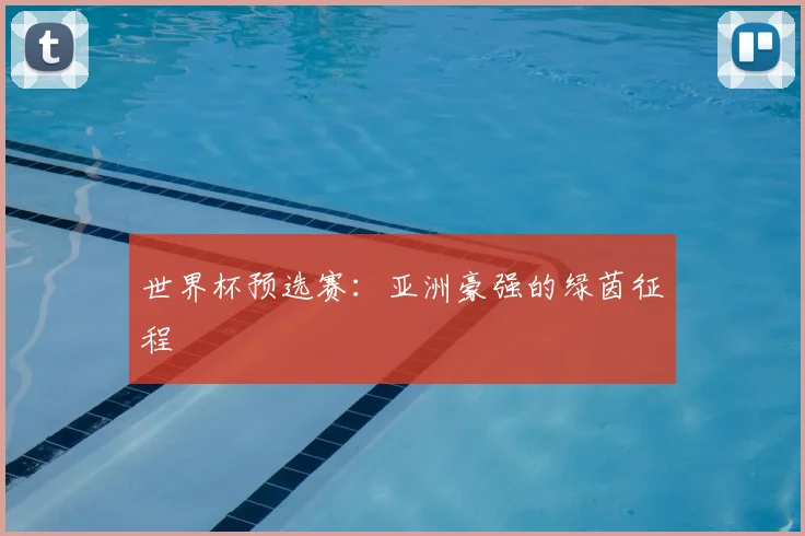 世界杯预选赛：亚洲豪强的绿茵征程