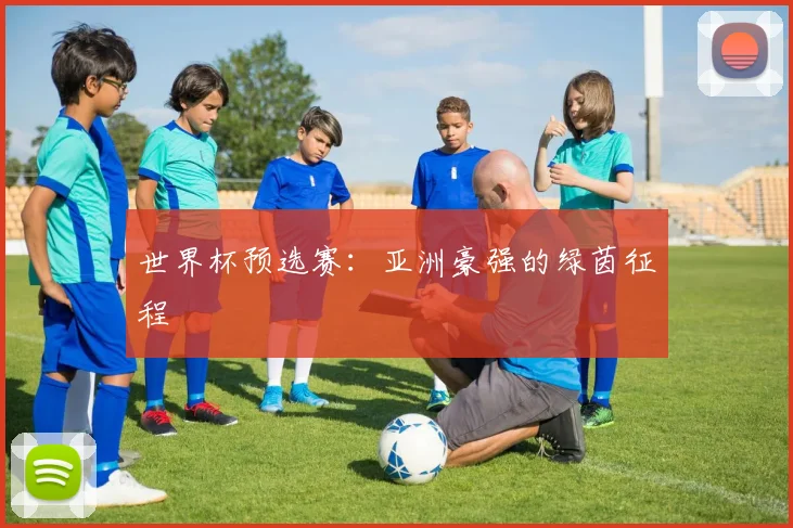 世界杯预选赛：亚洲豪强的绿茵征程