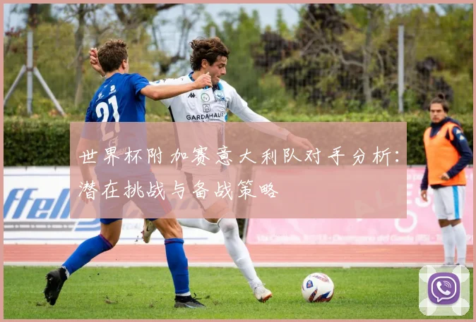 世界杯附加赛意大利队对手分析:潜在挑战与备战策略