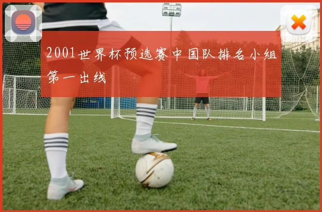 2001世界杯预选赛中国队排名小组第一出线